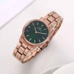 Daniel Wellington ladies watches Replica